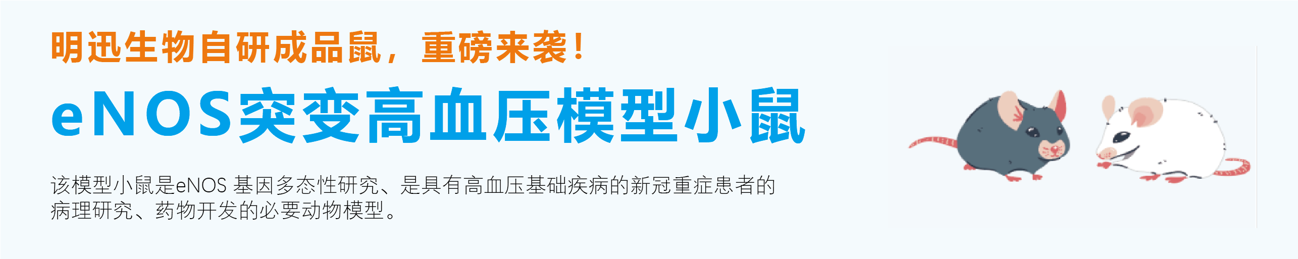 网站banner图-22.png