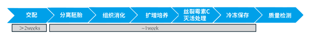 Feeder制备流程.png
