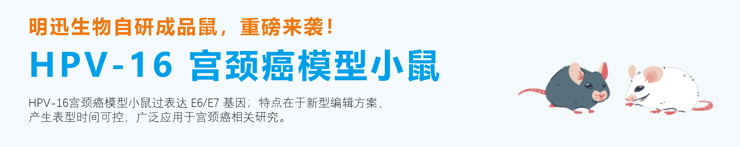 网站banner图-20.png
